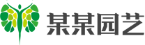 糖心少女vlog孤独的生日